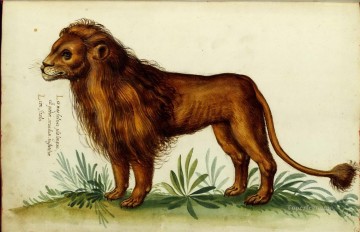 Lion d’Animal Italien Peinture à l'huile